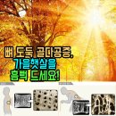 뼈 도둑 골다공증 가을 햇살을 흠뻑 드세요 이미지