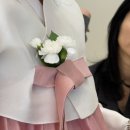 우리미한복 혼주한복 대여 후기 ㅣ발산역 한복