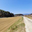 강릉 탑 공인중개사사무소 이미지