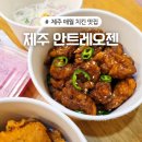 더오젠 | 제주 애월 현지인 치킨 포장 맛집 안트레오젠 내돈내산 솔직후기