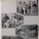 영양중학교 | 일월중학교(영양)18회