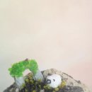 도사종합환경