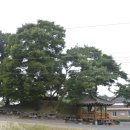 스토리텔링 역사 이미지