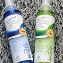 알로애 꽃집 이미지