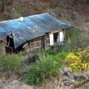 옛날의그집 이미지