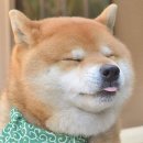 넘버117