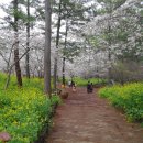 한림 행정사사무소 이미지