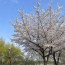 남매공원(보건소옆) 네이버블로그