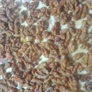 일등태권도장 이미지