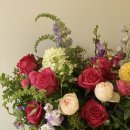 레몬파크장 이미지