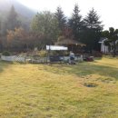 푸른펜션 이미지