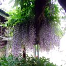 만물상회 이미지