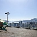 새영주시장 이미지