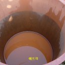 황토맛농장