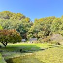 무릉도원면-48 이미지