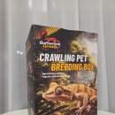 거미PC | 성체까지 사용하고 선명한 게코도마뱀 사육장 구입 / 안깨지는 파충류 사육장