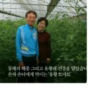 최영자농장 네이버블로그