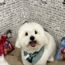 코트니룸 이미지