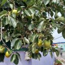 칠산부분정비 이미지