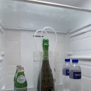 파르마 스테이 이미지