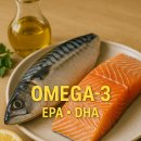 연어아저씨 이미지