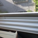 금빛크린 이미지