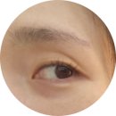 제이애견샵 | 미사 눈썹컨설팅 제이뷰티랩 브로우바