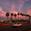 하와이식당 이미지