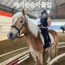 에이원승마클럽 네이버블로그