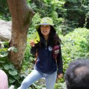 도래재자연휴양림(밀양) 이미지