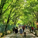 옥마산등산로 이미지