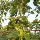 봉례농장 이미지