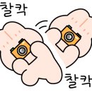 테니스Holic 이미지