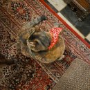 커피마이클 | [서울, 청량리] 마이클커피 다른 메뉴 먹으러 재방문한 후기