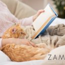 행복한 이불 이미지