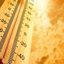 경희대 수덕 태권도 이미지