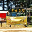 윤채농장 네이버블로그