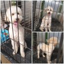 동탄기흥로 이미지