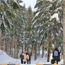 삼양목장 이미지