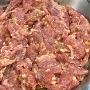 국화애견하우스 이미지