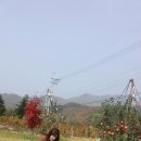 미경 이미지