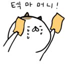 1984나폴리 꽃반지점 이미지