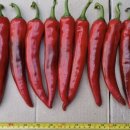 전북농약사 이미지