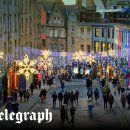 eco green farm 이미지