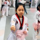 고려인성태권도 이미지