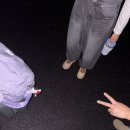 카라트호텔 | 브리즈너의 시드니 퀵트립 01 (스투시, 칼하트, 패디스 마켓, 천문대, 수박케이크)