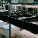 여울목 아쿠아 이미지