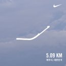 박지연미용실 | 7월 3주차 ( 연북로러닝, 안나드라마, 노티드말차도넛, 안티코, 인디카하우스 )