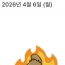 4/6🍀 이미지