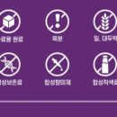 냥이캣